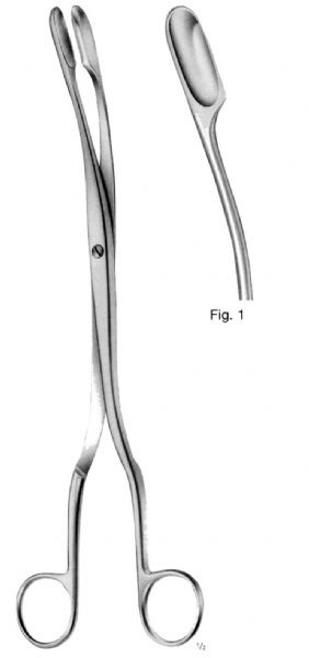 Winter Placentaovum Forceps Fig1 Curved 290mm